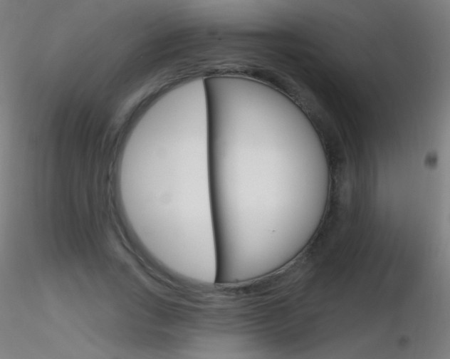 X0000116790735200912181054