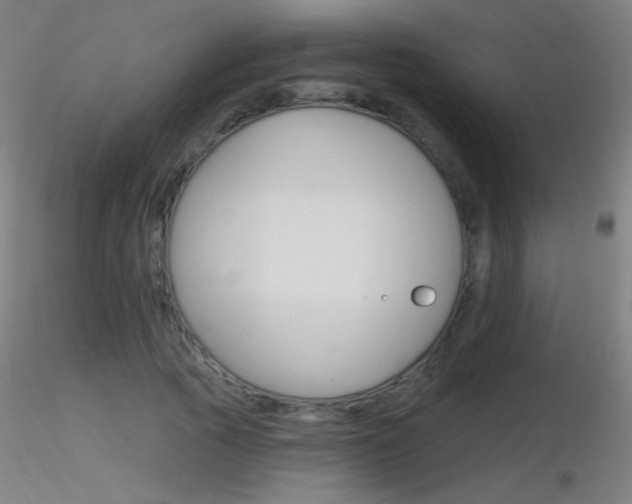 X0000116790737200912181054