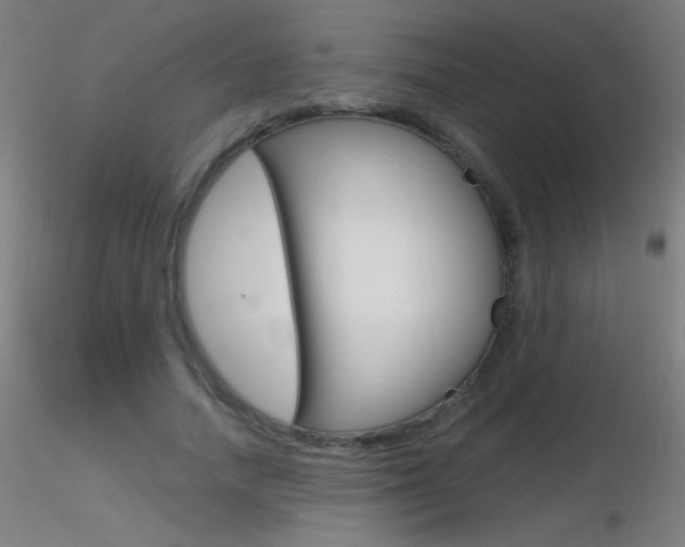 X0000116790738200912181054