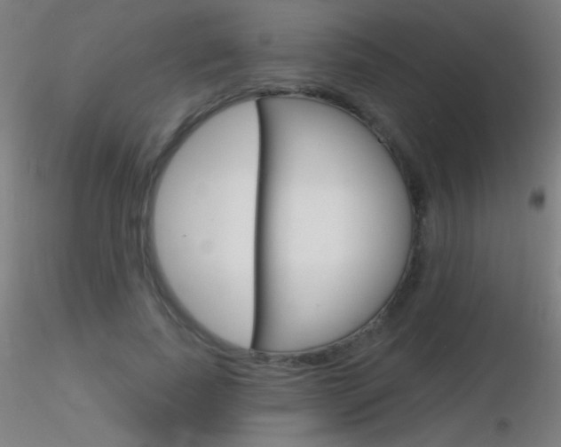 X0000116790739200912181054