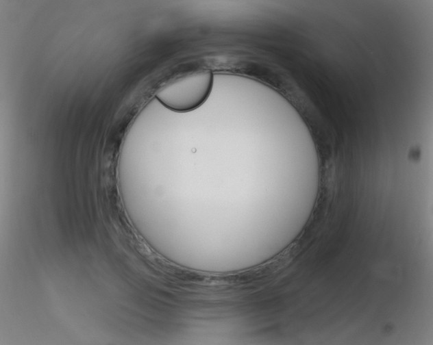 X0000116790741200912181054