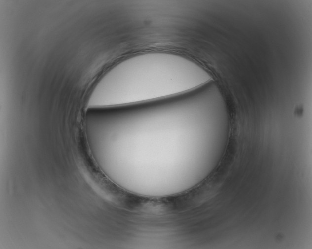 X0000116790742200912181054