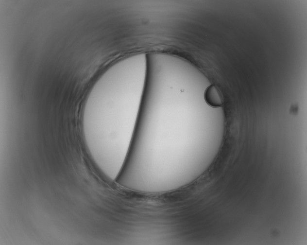 X0000116790743200912181054