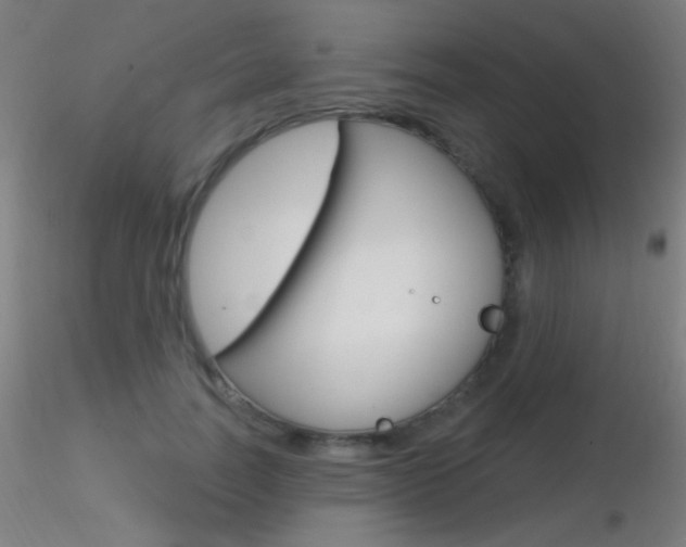X0000116790746200912181054