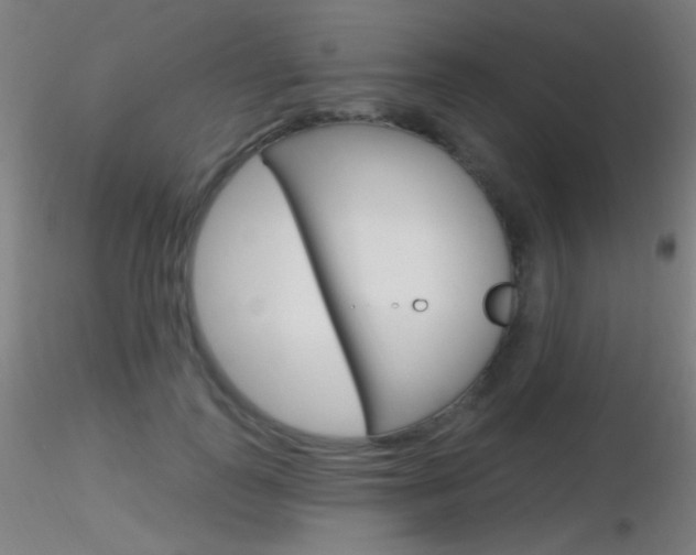 X0000116790747200912181054