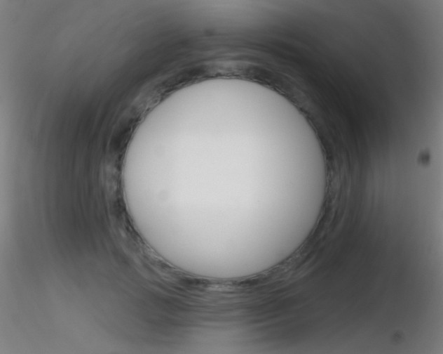 X0000116790749200912181054