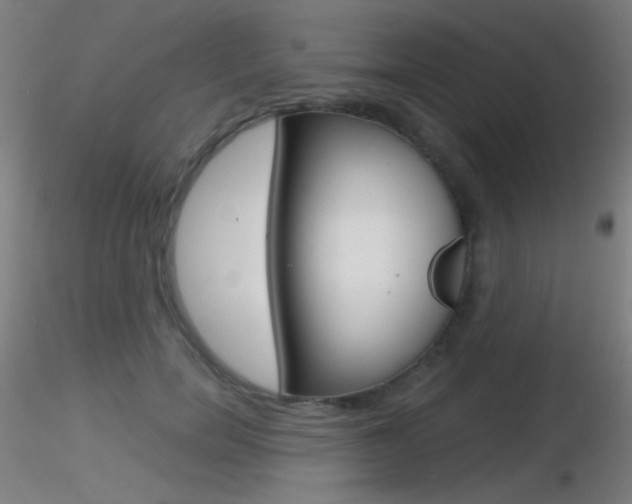 X0000116790750200912181054