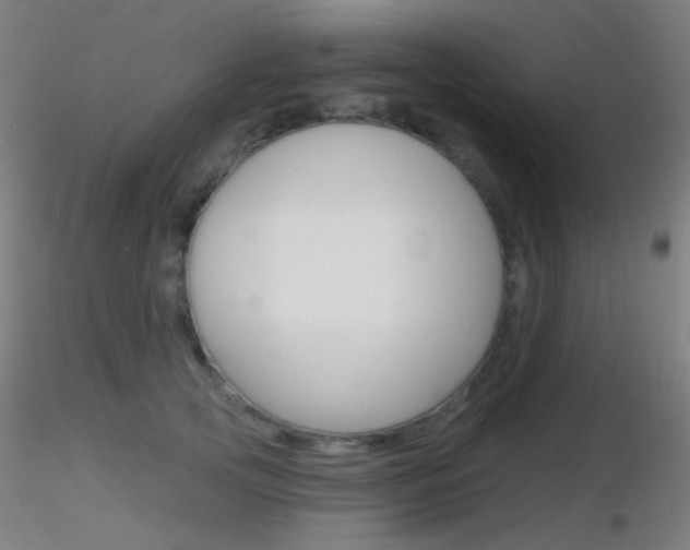 X0000116790753200912181054