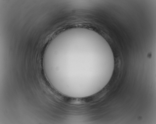 X0000116790754200912181054