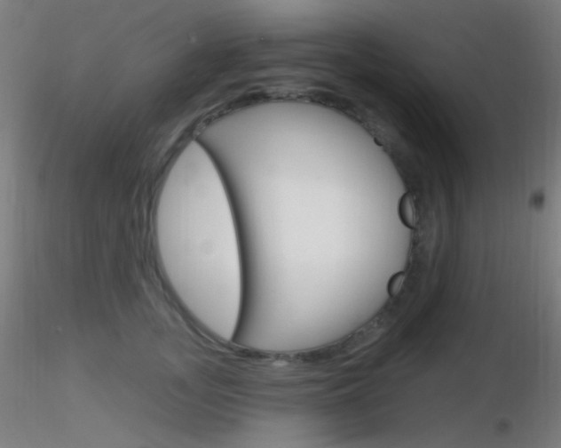 X0000116790755200912181054