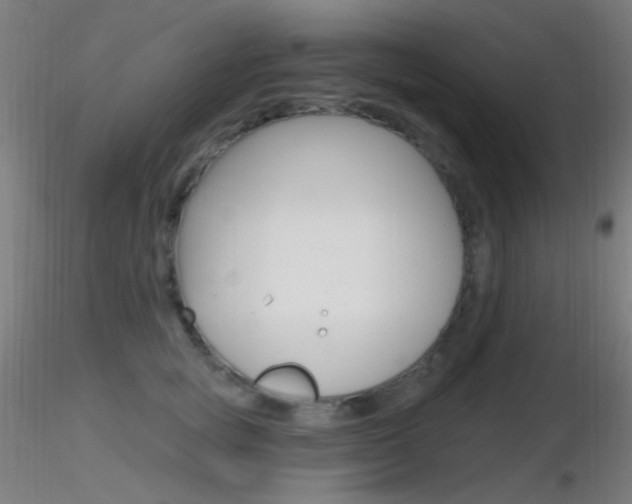 X0000116790757200912181054