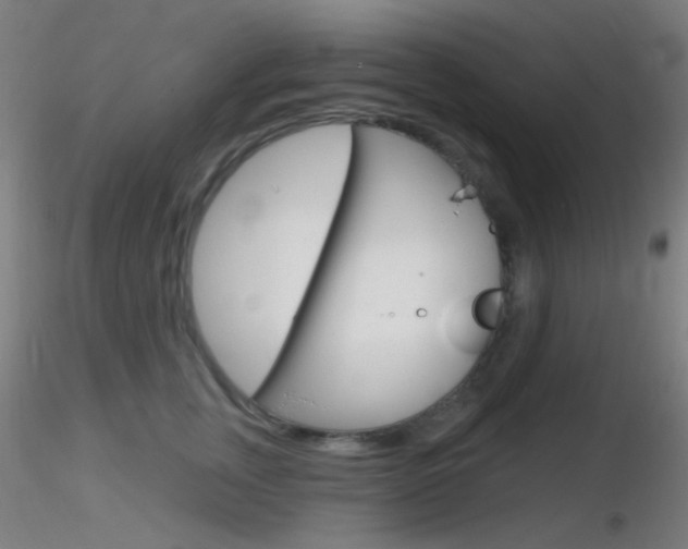 X0000116790759200912181054