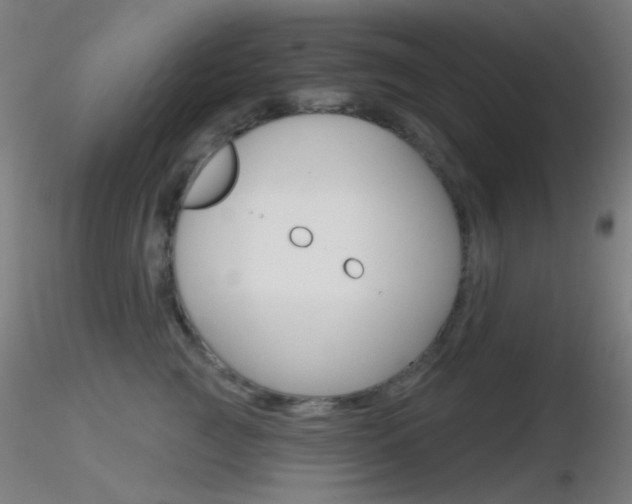 X0000116790761200912181054