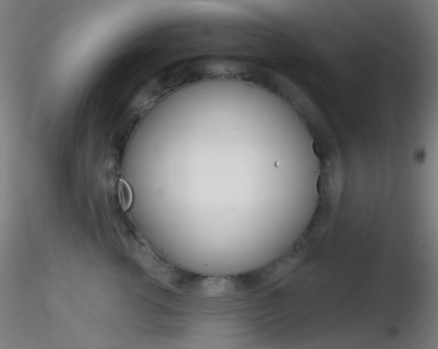 X0000116790762200912181054