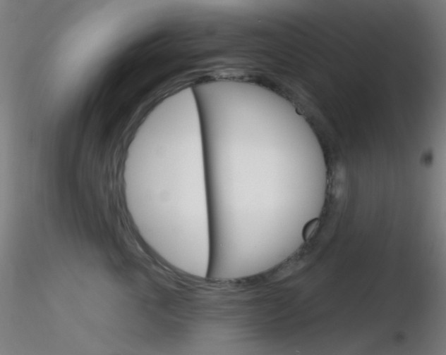 X0000116790763200912181054