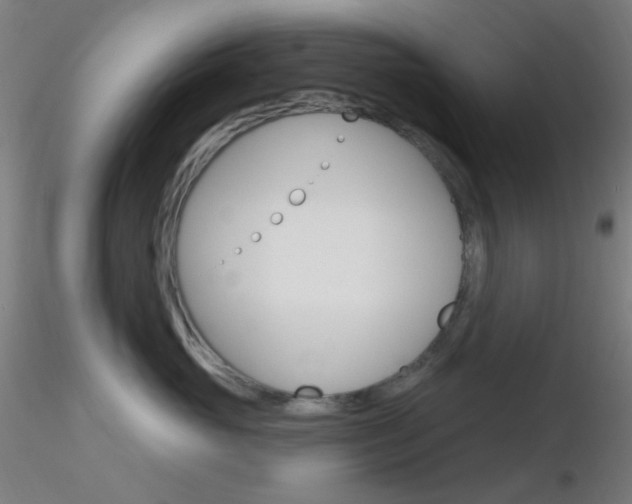 X0000116790765200912181054
