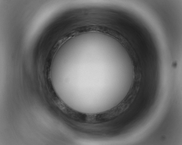 X0000116790766200912181054