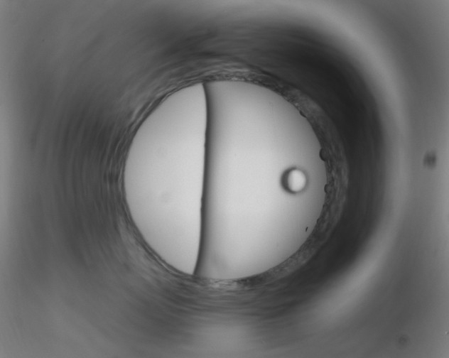 X0000116790767200912181054