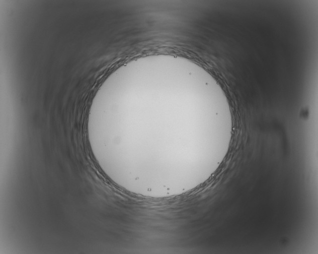 X0000116790769200912181053
