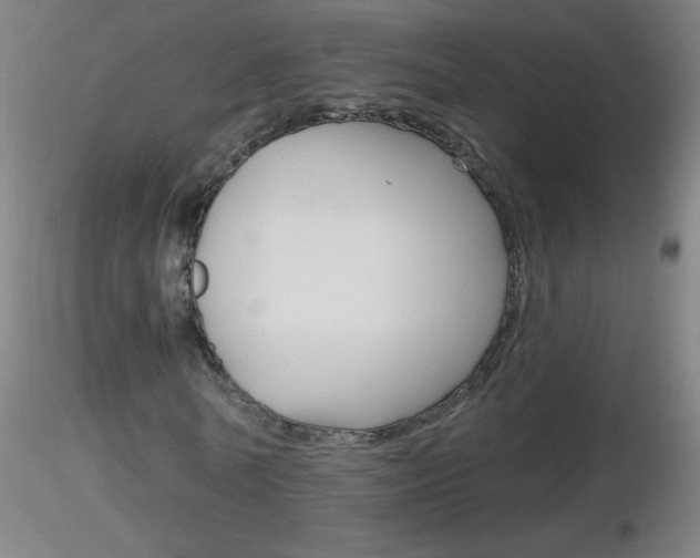 X0000116790770200912181053