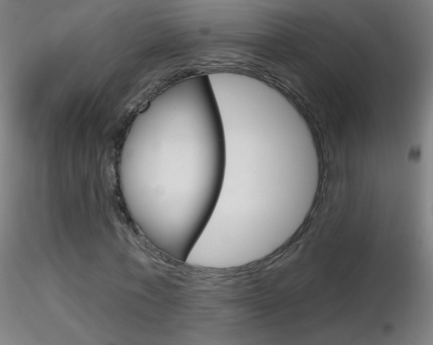 X0000116790771200912181053
