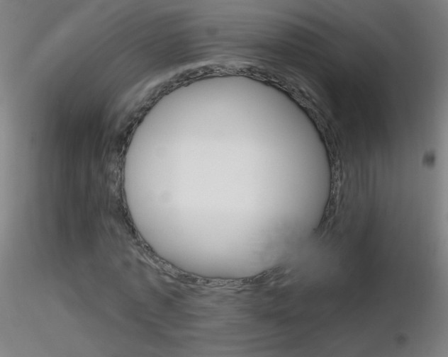 X0000116790773200912181053