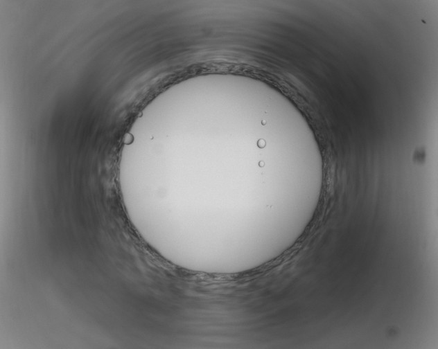 X0000116790774200912181053