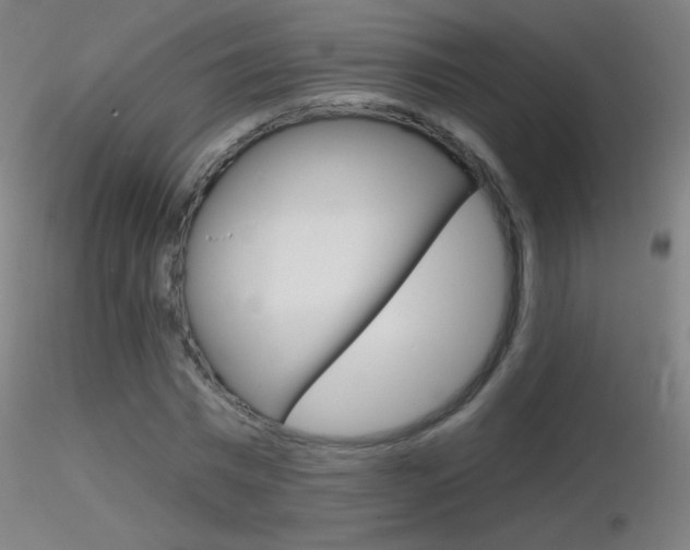 X0000116790777200912181053