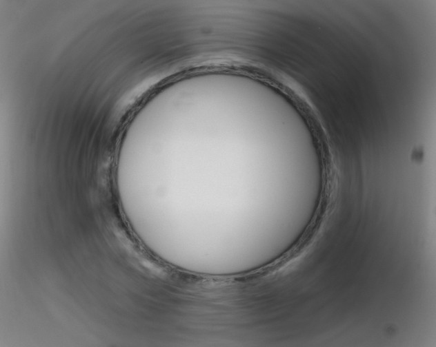 X0000116790778200912181053