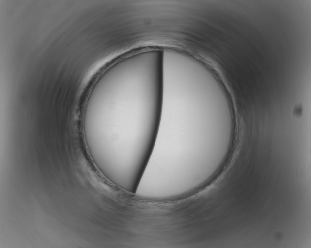 X0000116790779200912181053