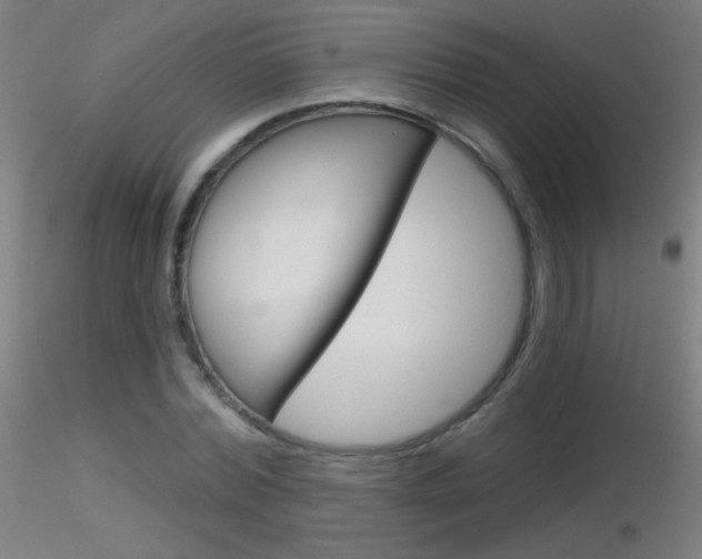 X0000116790780200912181053