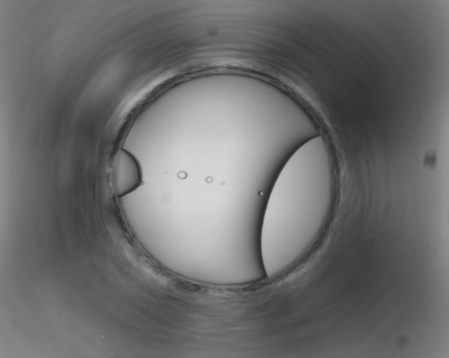 X0000116790782200912181053