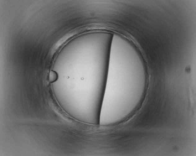 X0000116790786200912181053