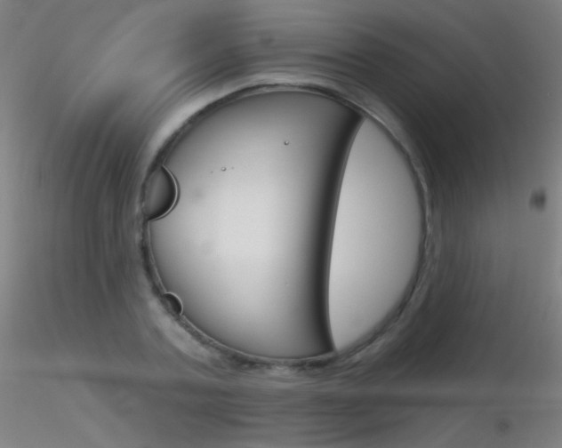 X0000116790787200912181053