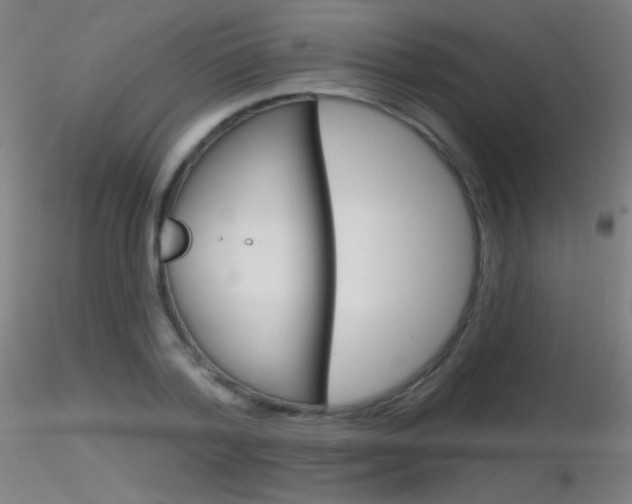 X0000116790788200912181053