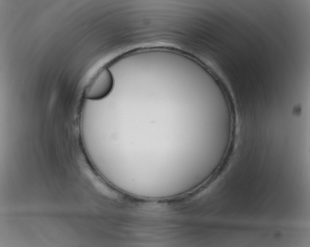 X0000116790789200912181053