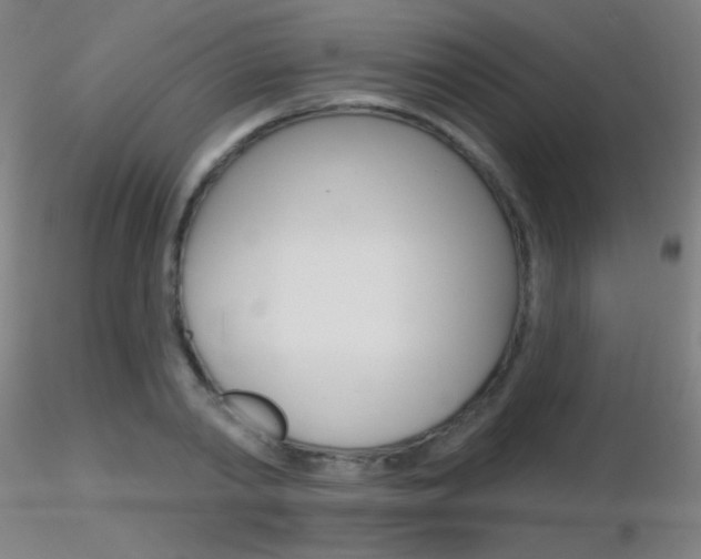 X0000116790790200912181053