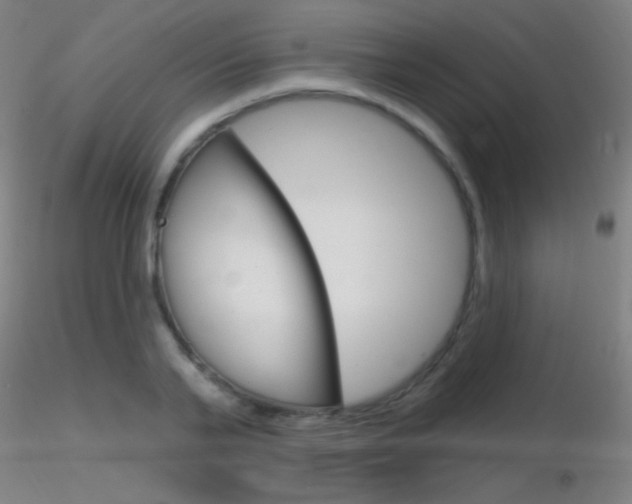 X0000116790791200912181053
