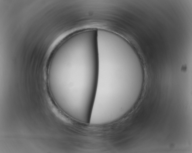 X0000116790792200912181053