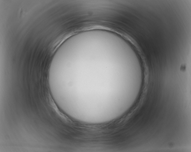 X0000116790793200912181053