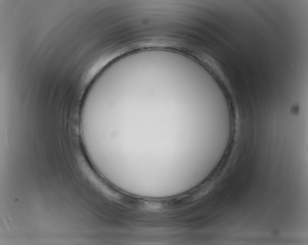 X0000116790794200912181053