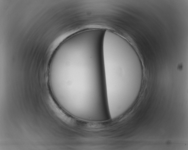 X0000116790795200912181053