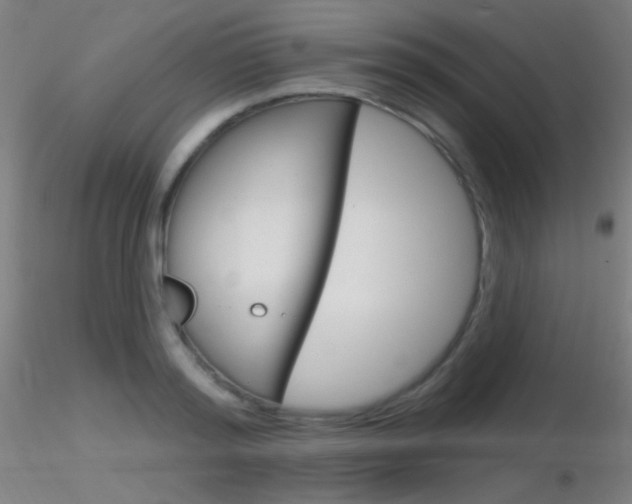 X0000116790796200912181053