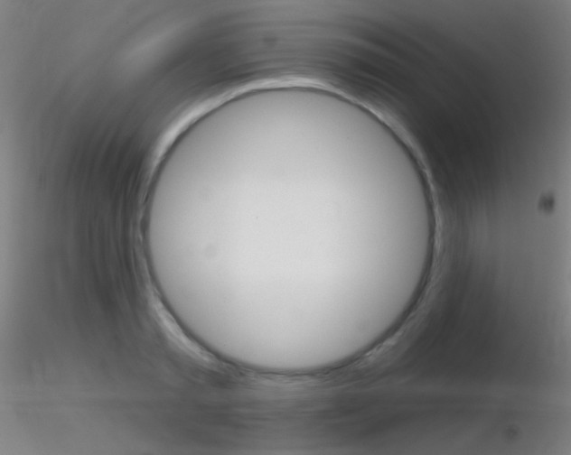 X0000116790797200912181053