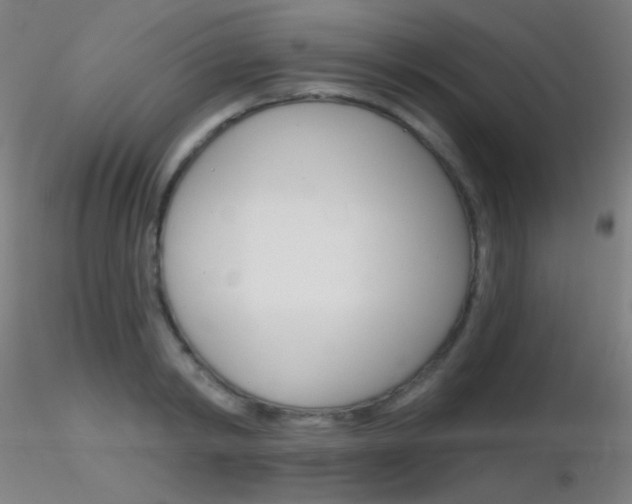 X0000116790798200912181053