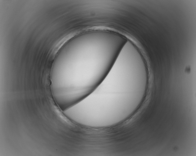 X0000116790801200912181053