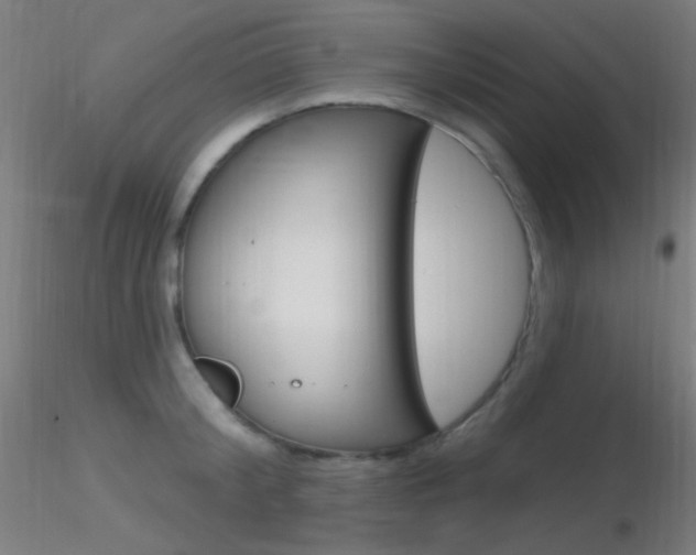 X0000116790804200912181053