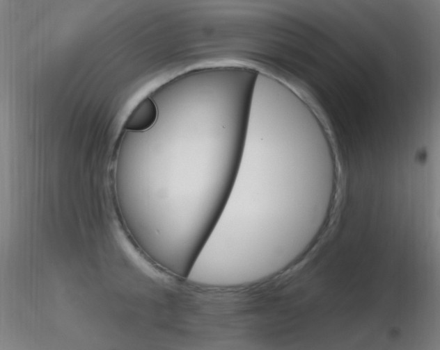 X0000116790805200912181053