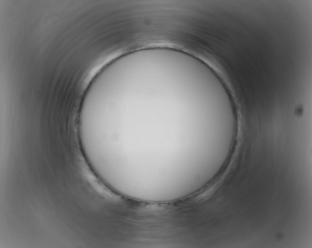 X0000116790806200912181053