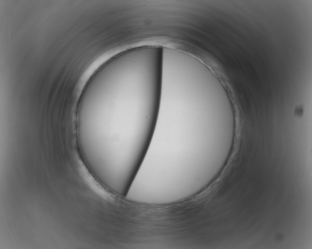 X0000116790808200912181053